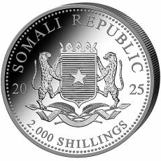 Silbermünze 1 kg Somalia Elefant 2025