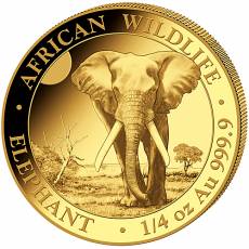 Somalia Elefant 1/4 Unze Gold 2025
