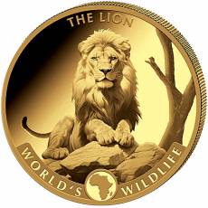 1 Unze Goldmünze Kongo World´s Wildlife Kongo Löwe - 2025