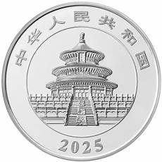 China Panda 150 gramm PP Silber 2025