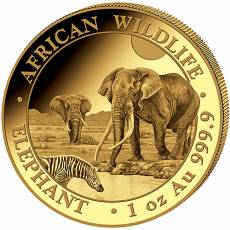 Somalia Elefant 1 Unze Gold 2026