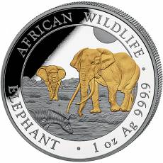 Somalia Elefant 1 Unze Silber teilvergoldet 2026