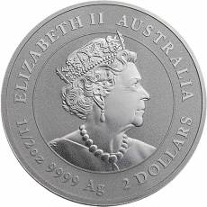 Silbermünze 1,5 oz White Bellied Eagle 2022