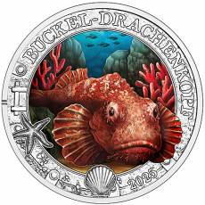 3 Euro Leuchtende Meereswelten Buckel-Drachenkopf 2025
