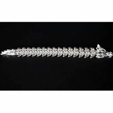 300 gramm Silber Draconis 3D