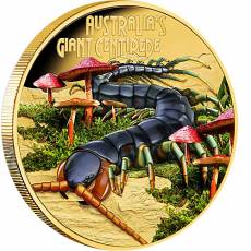 Goldmünze 1 oz Deadly & Dangerous Riesenhundertfüßer Proof 2026