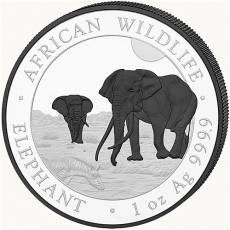 Silbermünzen - Satz Somalia Elefant Black & White 2026