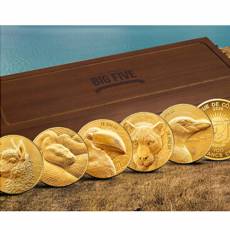 5 x 1 gramm Goldmünzen Big Five South America Set P.De.Greaf High Relief 2026