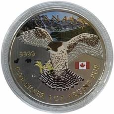 Silbermünze 1 oz Peregrine Falcon Bull an Bär Investment Collection 2014