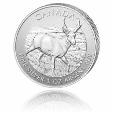 1 Unze Silber Canada Antilope-Wildlife Serie 2013